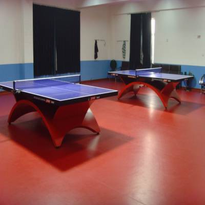供应北京pvc塑胶地板 乒乓球地板胶厂家 规格 颜色