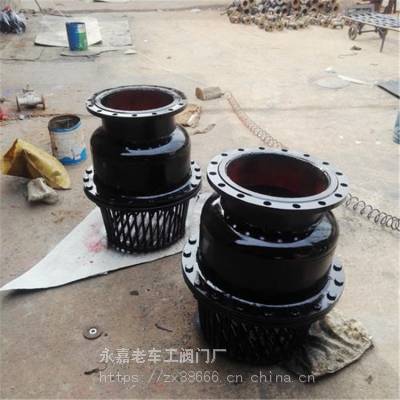 现货定制 H42X-25Q 升降式底阀 法兰连接 球墨铸铁材质 塑料阀门 DN150