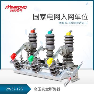 · ܶ·  ZW32 12G  Ź ܸ뿪 10kv ѹն·