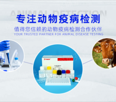 上海牛包虫抗体检测试剂盒多少钱 服务为先 深圳芬德生物供应