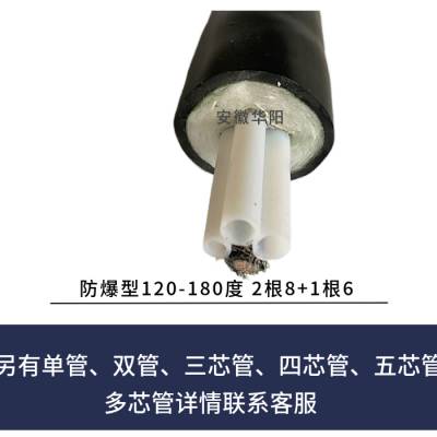 华阳生产加工CEMS伴热管线 HYBRG-D42-B2-φ8*6烟气在线伴热管