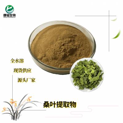 桑叶干燥粉 植物提取物 水溶浓缩喷干粉 速溶粉 1kg起售