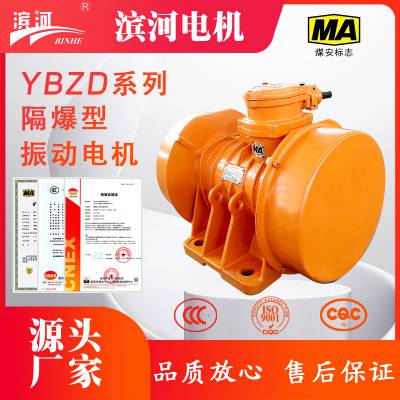 滨河三相异步隔爆型振动电机YBZD-40-6六极3kW防爆振动电机