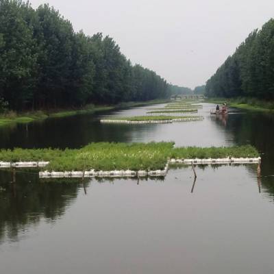 南通市水面种植浮岛 效果图大全 景观生态浮岛