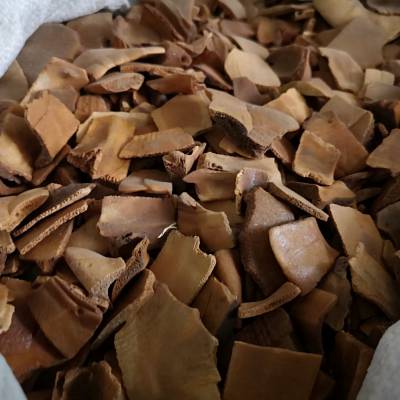 【中药材龟甲】药用功效是什么 龟板产地市场***批发价 格多少钱一