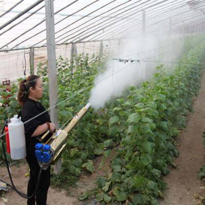 锦佳温室大棚汽油弥雾机 山楂树防虫害喷雾烟雾机视频