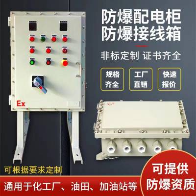 BXK防爆控制箱BXM防爆配电箱 定做成套不锈钢防爆配电箱温控箱
