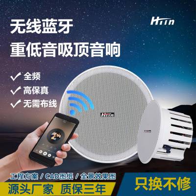 HTin/海豚音无线蓝牙吸顶音响同轴喇叭批发重低音DS-925