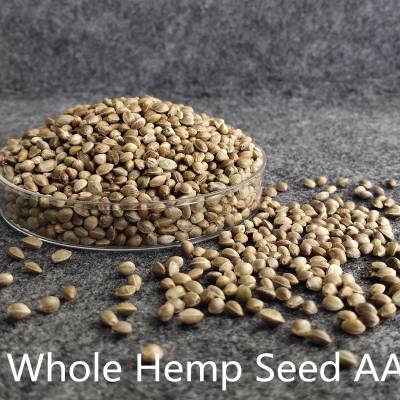 whole hemp seedѻʽ***