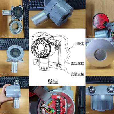 在线式 固定式防爆型 高精度 甲硫醇 气体报警器 浓度检测仪