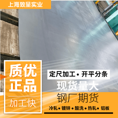 SECE 表面光滑平整 提供技术支持 钢板钢带 欢迎电询