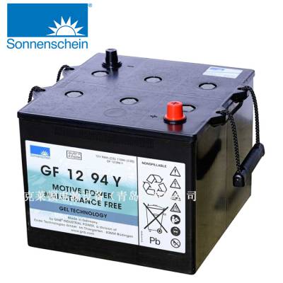 SonnenscheinGF 12 94 Y  12V110Ah ά 