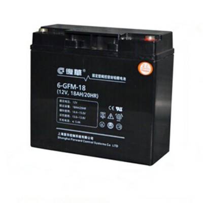 保护神蓄电池6-GFM-18复华电池12V18AH/20HR直流屏 UPS EPS配套