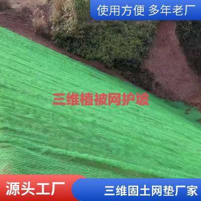 塑料三维植被网 护坡植草土工网垫世杰 山坡固土用三维网