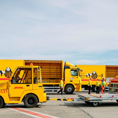 ɽDHLʿ DHL  UPS һվʽ