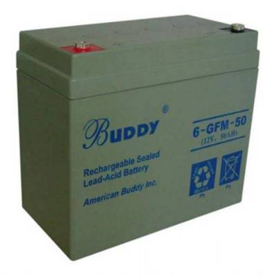 BUDDY宝迪蓄电池6-GFM-12 12V12AH直流屏配电柜 UPS电源