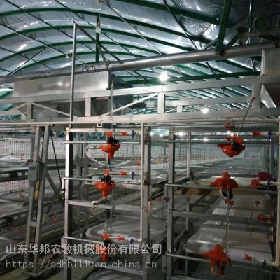 华邦养殖设备供应四层肉鸡笼 自动清粪鸡笼