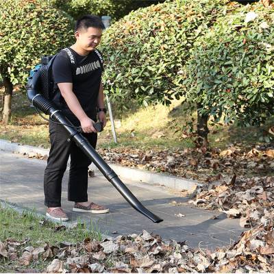 博天吹雪机厂家 大棚顶部清雪吹风机 背负式风量除雪机