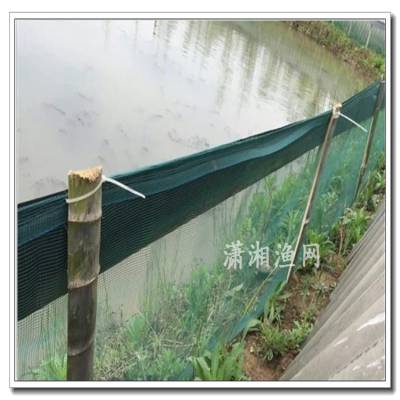长期销售福利结实鱼苗养殖网