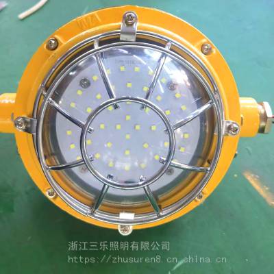 硐室 监控照明-矿用隔爆型LED支架灯 型号DGC24/127L