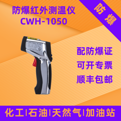 德立创新防爆测温仪CWH-1050 化工石油燃气站加油站港口