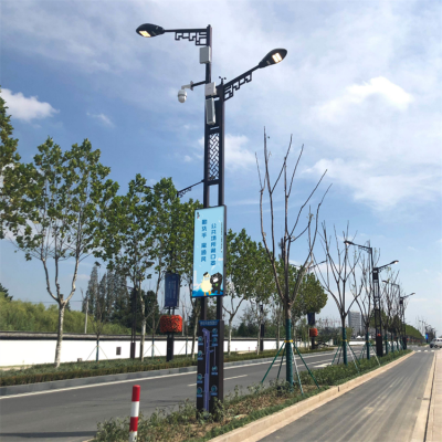 芯鹏达LED5G智能灯杆8米停车场城市小区道路灯杆850W-BF0016