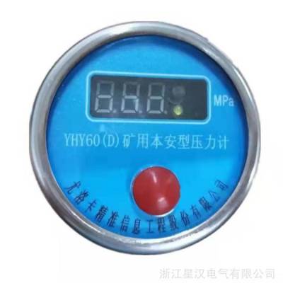 YHY60(D)矿用本安型压力计 煤矿用液压支柱数显压力计