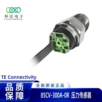 85CV-300A-0Rѹ ڹ̿  ̩TE