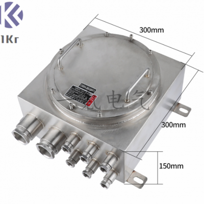 不锈钢防爆接线端子箱CT6配电箱BT4网络交换机控制柜 EX电源检修箱定做
