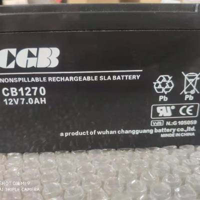 CGBCP12650 ά12V-6***H۲