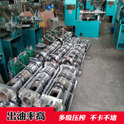 ***榨油机 多功能压榨设备价格 在线报价 冷热两用