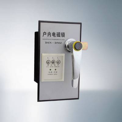 dsn-dmy(z)手柄式电磁锁(含带电显示器功能)