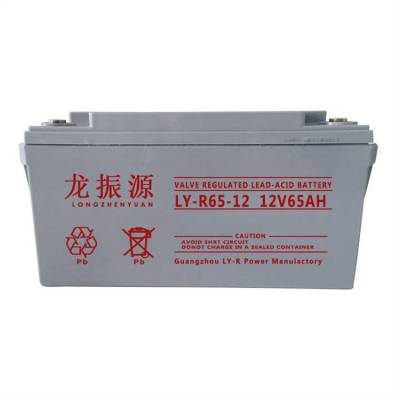 龙振源蓄电池LY-R65-12 12V6***H直流屏 UPS/EPS电源 机房通讯配套