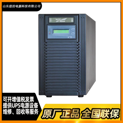 ƻYTR1101ƵUPSϵԴ1kva900W׼õ15Ұװά޸Ѳ