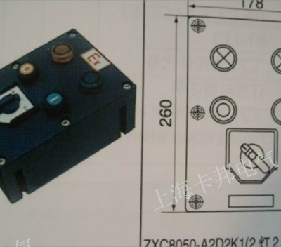 上海凸轮开关 欢迎咨询 卡邦供