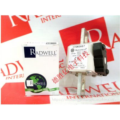 ӦBUSSMANN۶170M3662 100A 170M3663 12***