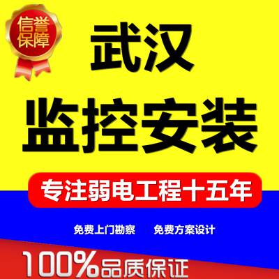 湖北监控安装包工包料十年行业经验