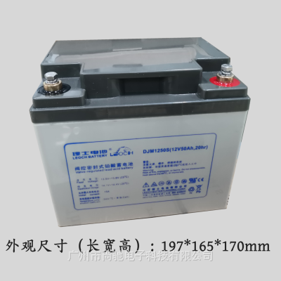 LEOCHʿDJM1250S 12V50AHֱ UPSԴ 