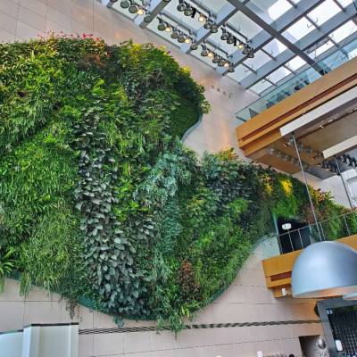 植物墙 绿植墙 立体绿化 垂直绿化 绿丛园林
