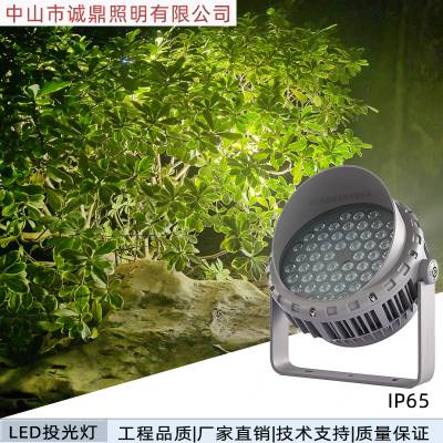 户外景区山林亮化LED圆形投光灯DMX512RGB 54W投光射灯CD-TG230B54