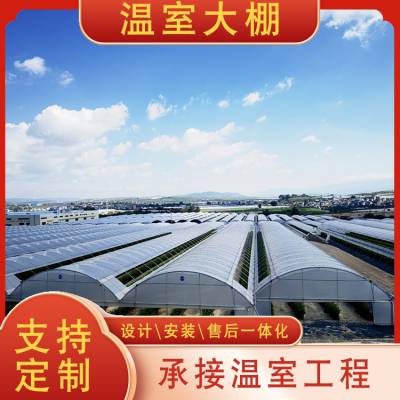 惠州惠阳 水培蔬菜温室 制造单体大棚 中科 ZKHY-01