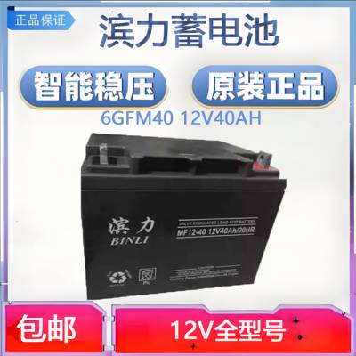 BINLI滨力蓄电池6GFM40 12V40AH 阀控式照明电力设备通讯基站发电机