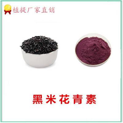 黑米花青素25% 含量定制 斯诺特品牌供应 食品原料 可代加工