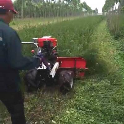 甘肃华圣茴香收割机 手扶式甜叶菊割晒机 民勤牧草收割机