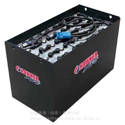 HAWKERPZS늳10PZS800/48V800AH AGVƿM