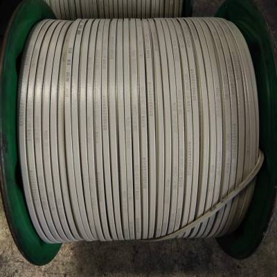 沈阳工厂工程用恒发热电缆功率基本型