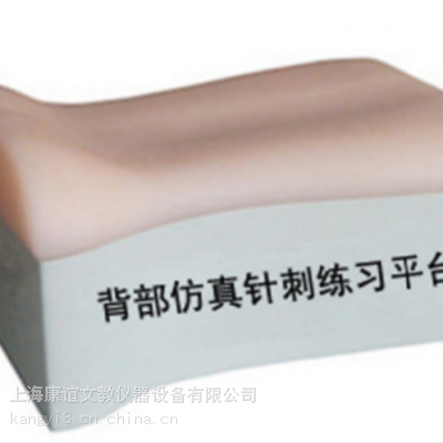 ZC-B背部仿真针刺练习平台-中医专业技能训练模型-上海康谊公司-心肺复苏模拟人厂家