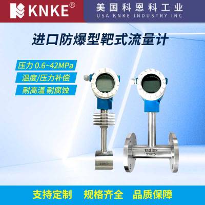 进口防爆靶式流量计 耐高温不锈钢材质 美国KNKE科恩科
