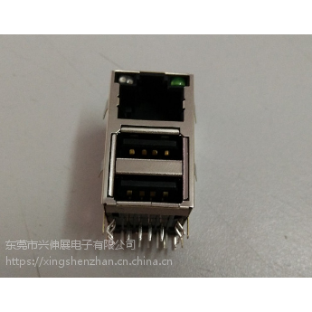 ӦչRJ45/RJ45+˫USB2.0/ӿĸڵ