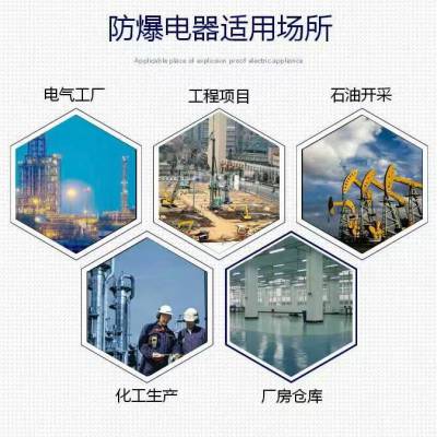 【304不锈钢配电箱316防爆配电箱厂家直销